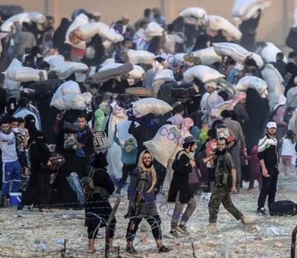 داعش آوارگان سوری را از مرز ترکیه برمی گرداند