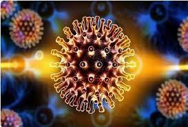 انتقال سریع ویروس هندی و بروز علائم در چند ساعت