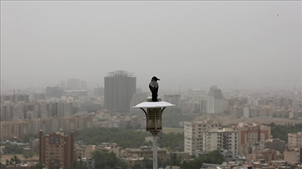 میلیون‌ها ایرانی زیر ضرب آلودگی هوا