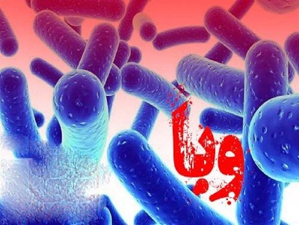 شمار مبتلایان به بیماری وبا در ایران