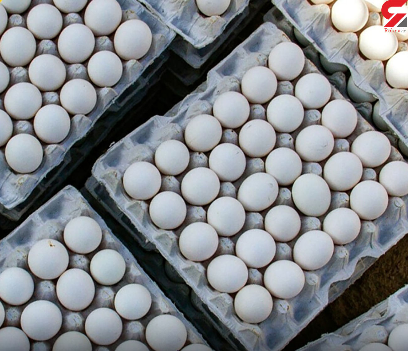 ممنوعیت واردات مرغ و تخم مرغ ایران به عراق تکذیب شد
