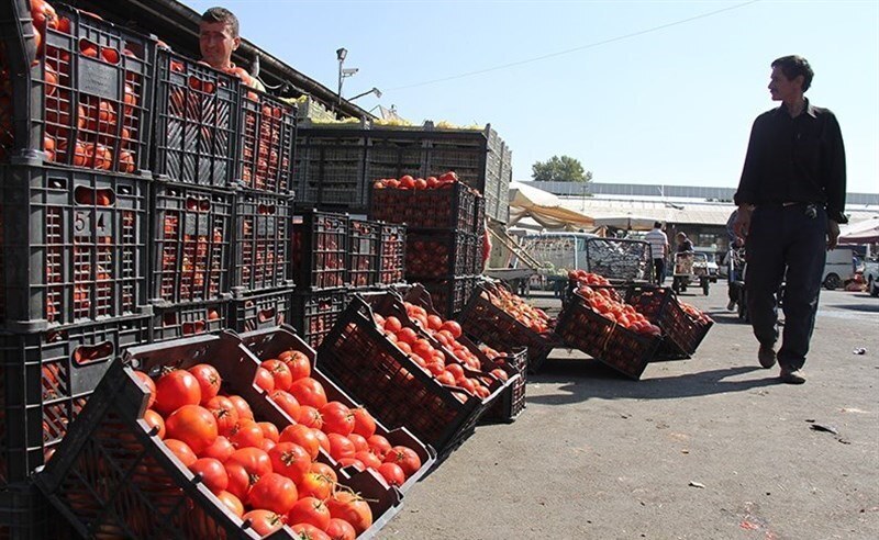 گوجه فرنگی ۲۶ هزار تومان شد / رئیس اتحادیه میوه و سبزی: علت افزایش قیمت تغییر فصل است؛ این موضوع تا پایان اردیبهشت ادامه دارد