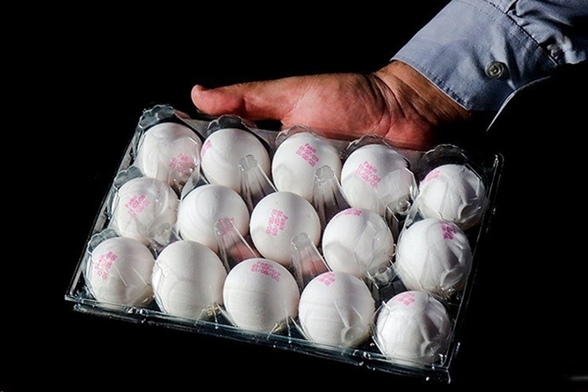 قیمت جدید تخم‌مرغ بسته‌بندی