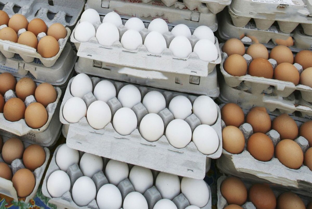 قیمت هر کیلو تخم مرغ 56 هزار تومان / افزایش قیمت هنوز مصوب نشده