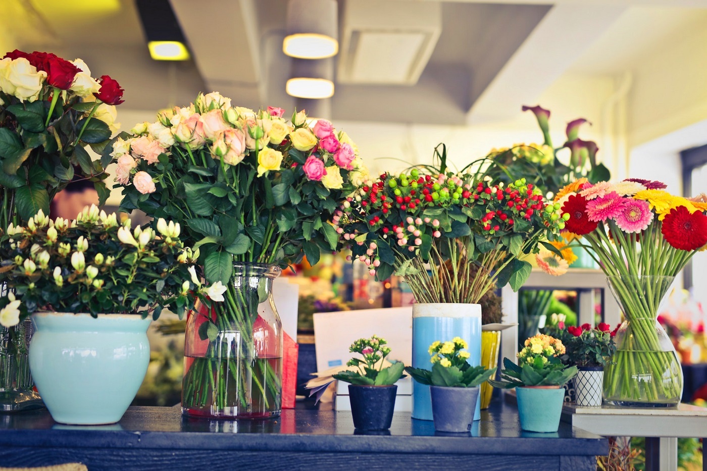 تقاضا برای خرید گل و گیاه به صفر رسیده است/ مردم توان خرید گل را ندارند