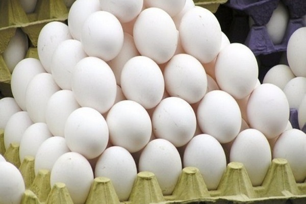 درخواست افزایش ۱۰ هزار تومانی قیمت تخم مرغ از دولت