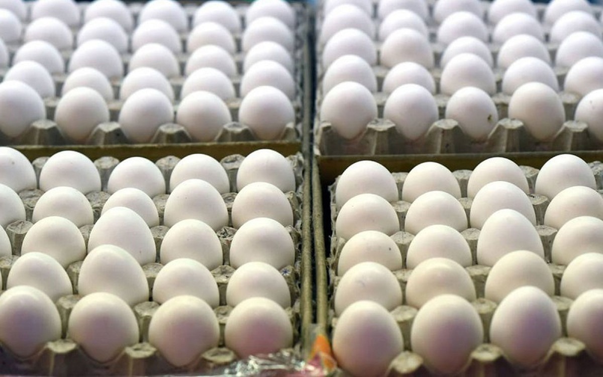 قیمت تخم مرغ بسته بندی در بازار چند؟
