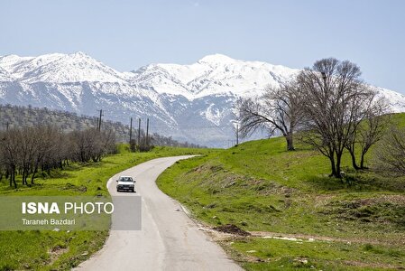 مخمل کوه در خرم آباد/عکس
