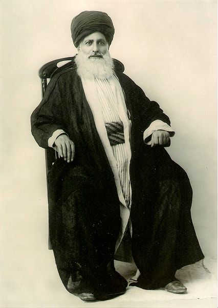 سید محسن امین