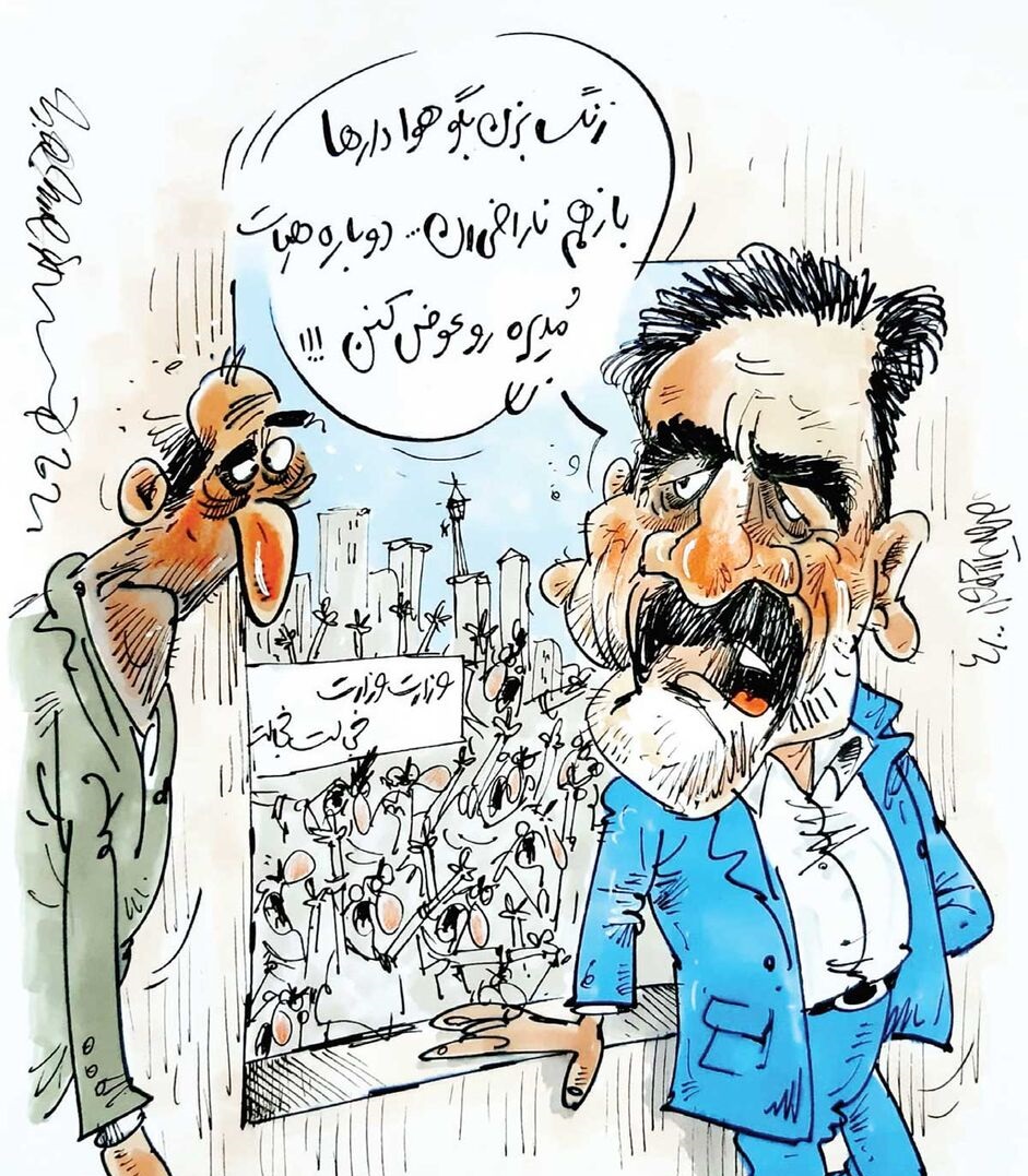 محمدرضا میرشاه&zwnj;ولد