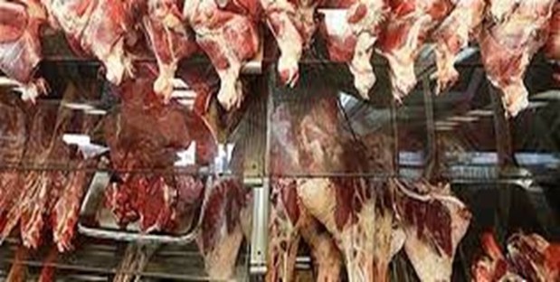 قیمت گوشت تازه گوسفند