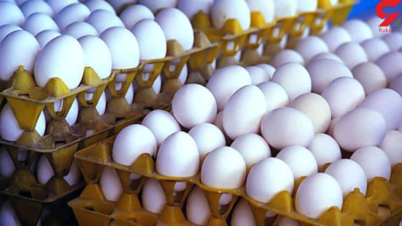 قیمت تخم مرغ در عمده فروشی کاهش یافت