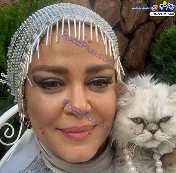 گربه عصبانی بهاره رهنما + عکس