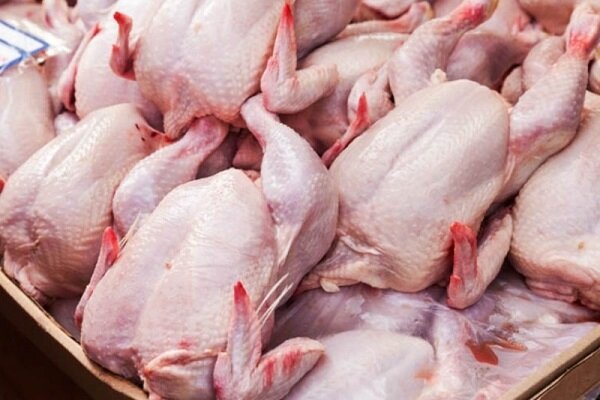 قیمت مرغ در بازار امروز پنجشنبه 19 فروردین+جدول