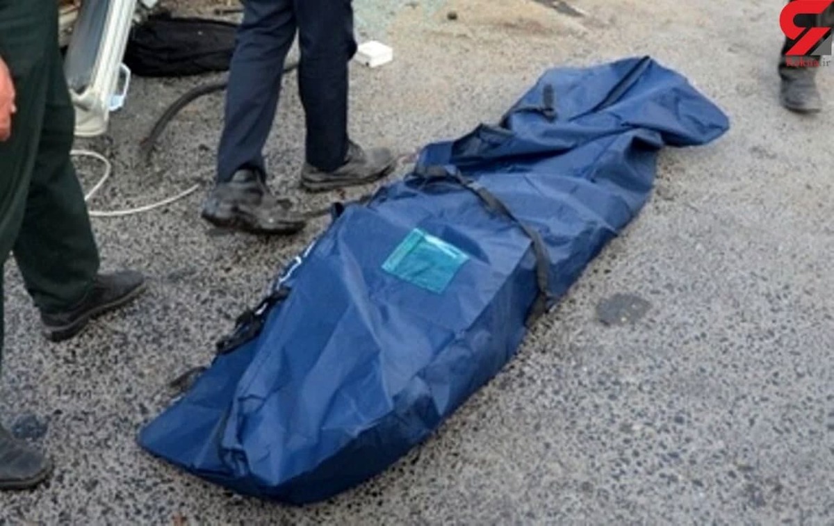 کشف لاشه در زباله های جنوب تهران / هفته ای یک تا دو لاشه