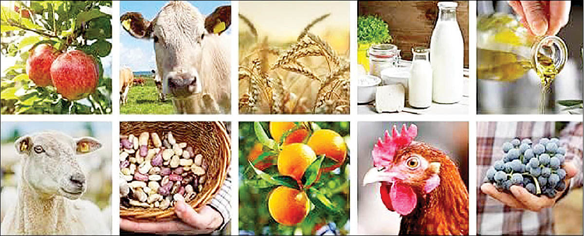 قيمت‌گذاري استاني؛ راه حل تازه