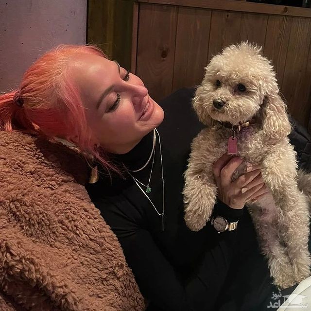 استایل مهناز افشار و موهای نارنجی اش + عکس استایل مهناز افشار و موهای نارنجی اش + عکس