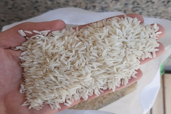 قیمت برنج وارداتی را افزایش دادند + قیمت جدید
