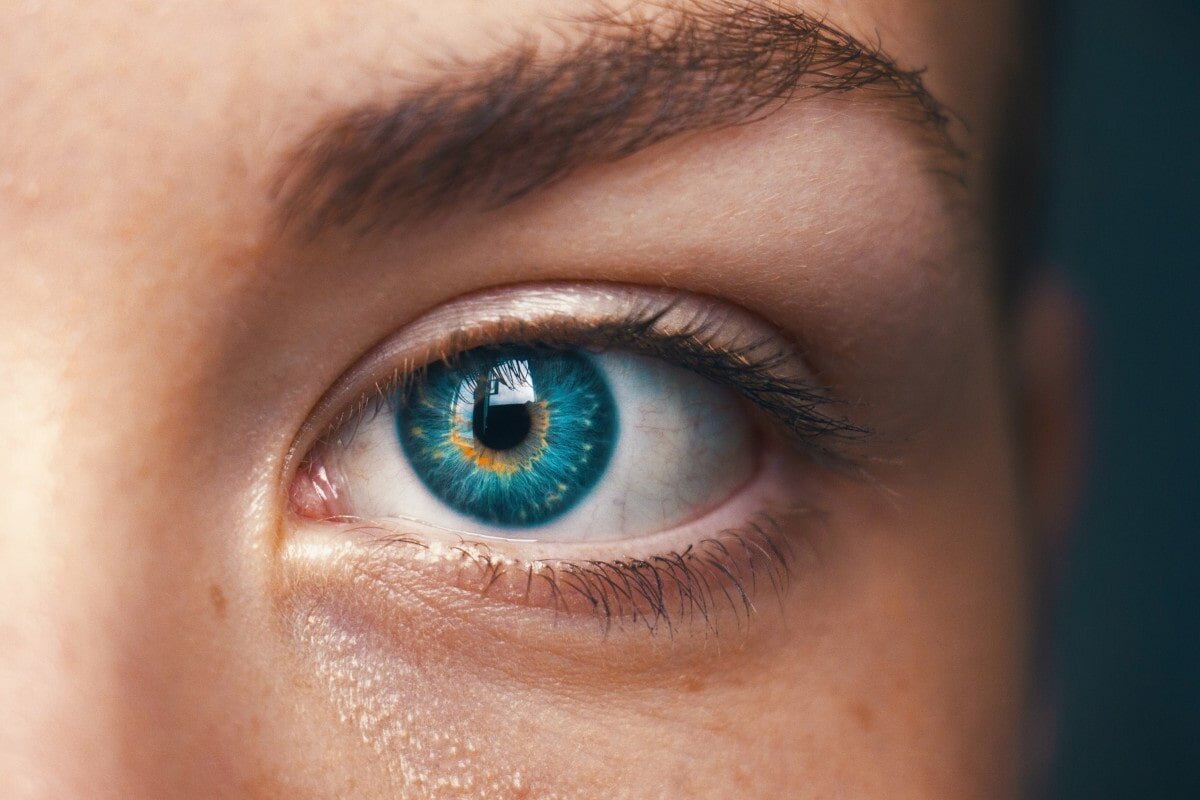 چشم ها خطر ابتلا به آلزایمر را پیش بینی می کنند