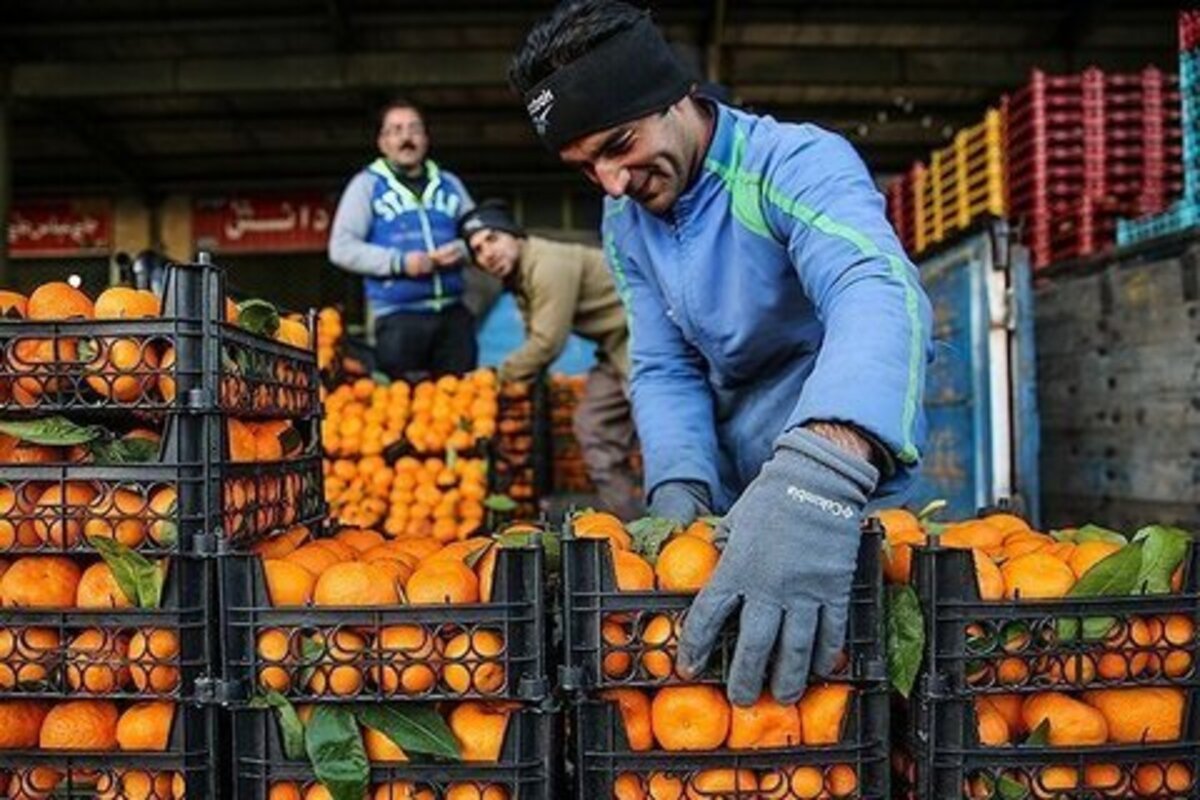 قیمت میوه های تنظیم بازار شب عید اعلام شد