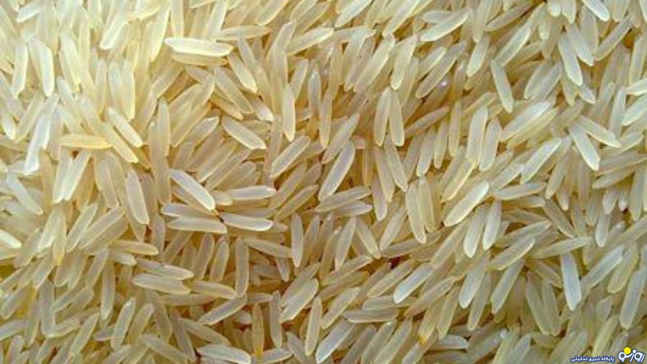 تنها تا ۳ماه دیگر ذخایر برنج خارجی داریم