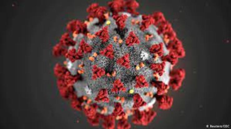 آیا کرونا واقعا ویروسی زمستانی است؟
