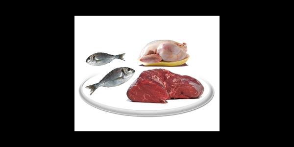 گوشت و ماهی گران شد
