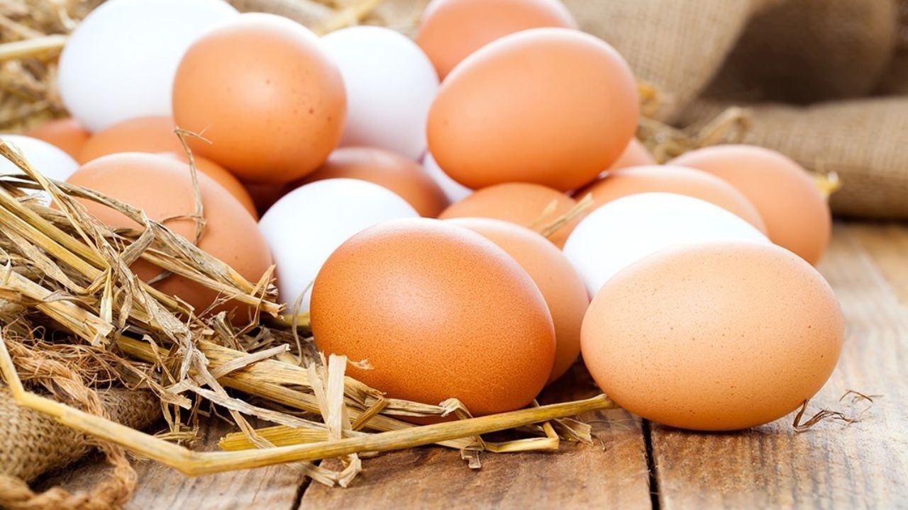 قیمت هر کیلو تخم مرغ در بازار
