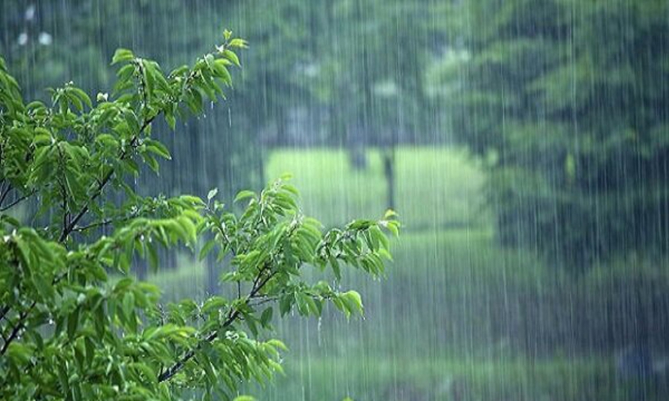 بارش باران در در 12 استان کشور