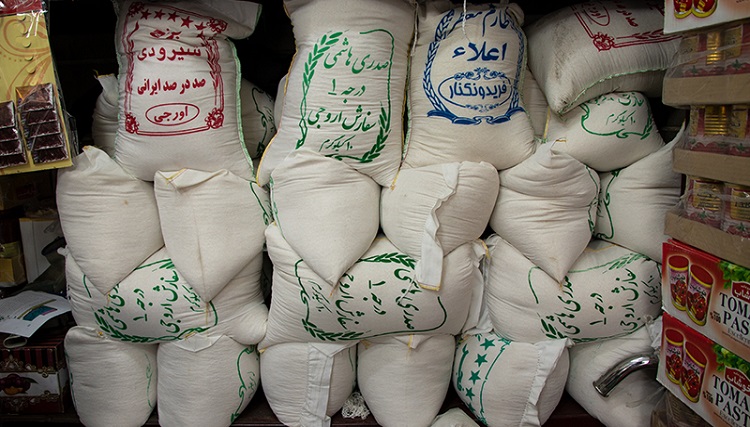 افزایش قیمت برنج ایرانی در سایه دولت سیزدهم/ چرا دولت واردات برنج خارجی را ممنوع کرده است؟