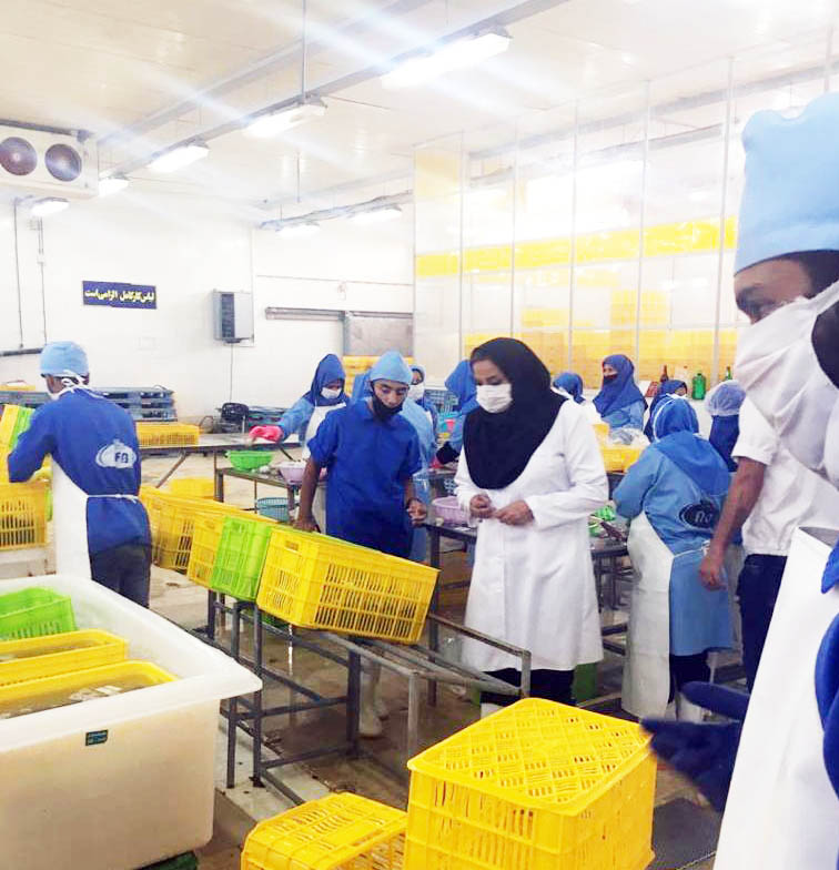 ایجاد شغل برای 150 زن سرپرست خانوار با احیای کارخانه فرآوری ماهی و میگو
