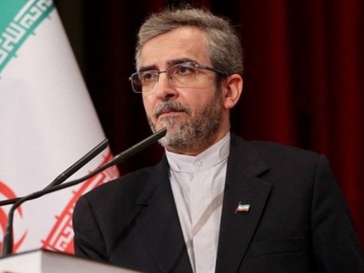 حفاری: برجام باید اعمال شود و تحریم ها برداشته شود/ اروپا تضمین می کند به تجارت با ایران ادامه می دهد