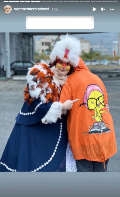 نعیمه نظام دوست با عجیب ترین لباس ها در بین مردم / عکس