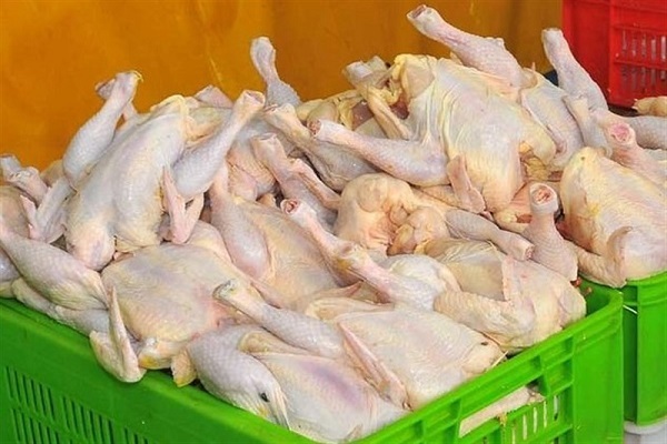 قیمت جدید مرغ در میادین میوه و تره بار در امروز