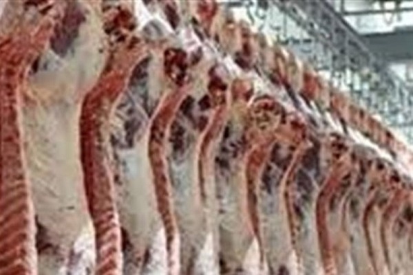 توزیع گوشت گوسفندی ۱۴۲ هزار تومانی بدون محدودیت در کشور+ جزئیات