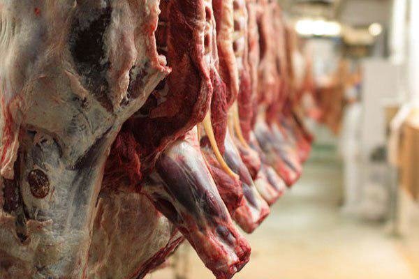 جدیدترین قیمت گوشت قرمز در بازار / هر کیلو شقه گوسفندی ۳۱۸ هزار تومان / ماهیچه ۳۹۸ هزار / ماهیچه گوساله ۳۴۸ هزار