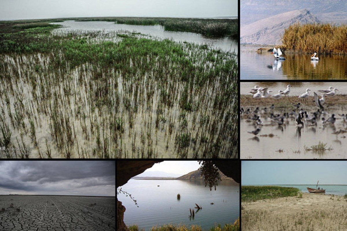 خشکی ۹۹ درصدی تالاب‌های گلستان