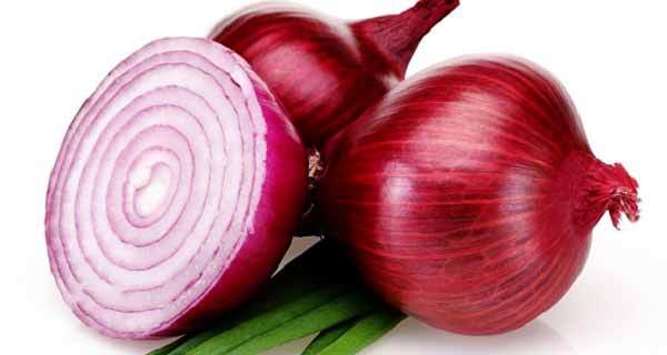 پیاز بر مدار ناز