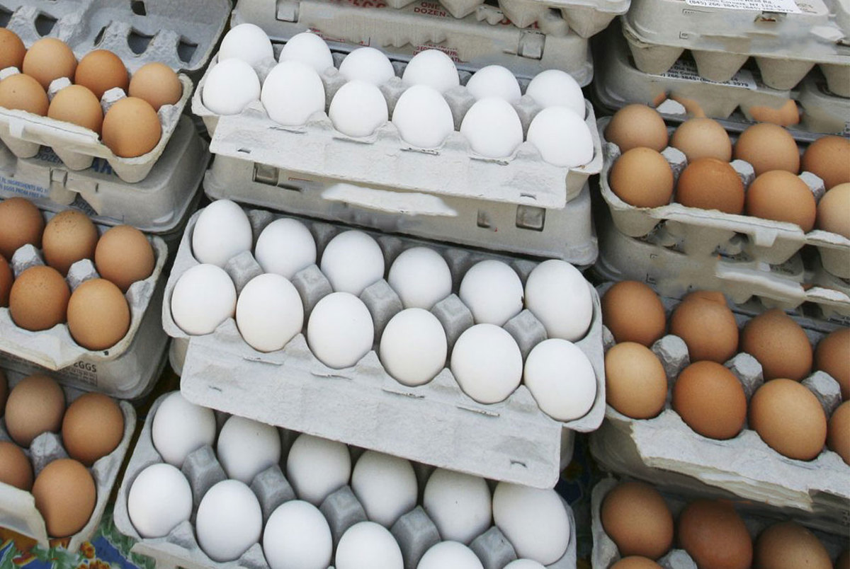 یک شانه تخم‌مرغ ۷۶ هزار تومان/ اتحادیه مرغداران: برنامه‌ای برای صادرات نداریم