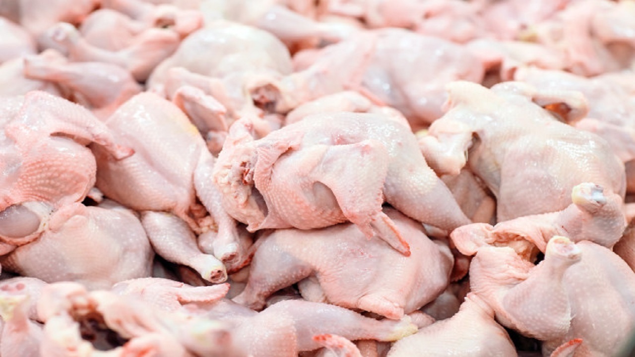 تا چند ساعت دیگر کمبود گوشت مرغ در مزارع میوه و تره بار برطرف می شود