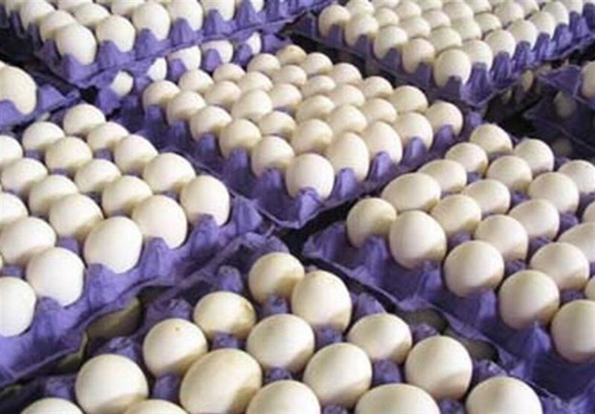 فاصله قیمت هر شانه تخم مرغ با نرخ مصوب | اعلام قیمت‌های جدید