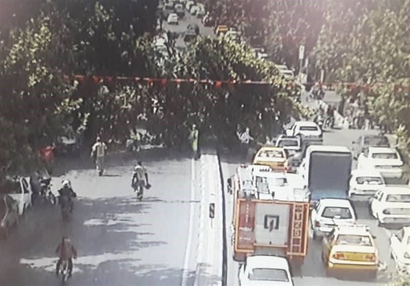 انسداد خیابان شریعتی تهران به دلیل سقوط یک اصله درخت