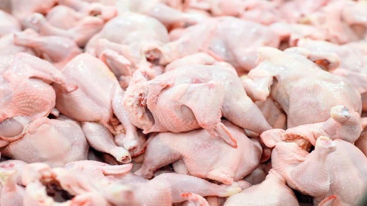 اتحادیه مرغداران: فروش مرغ زنده کمتر از کیلویی 45 هزارتومان یعنی ضرر هنگفت به تولید کننده/ عرضه گوشت مرغ با ارز نیمایی از دو هفته دیگر