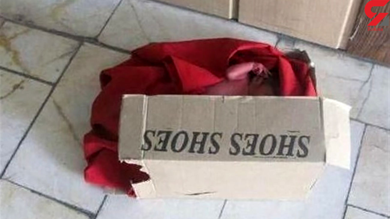 کشف نوزاد تازه متولد شده در سطل زباله / داخل یک جعبه کفش در زاهدان بود + عکس