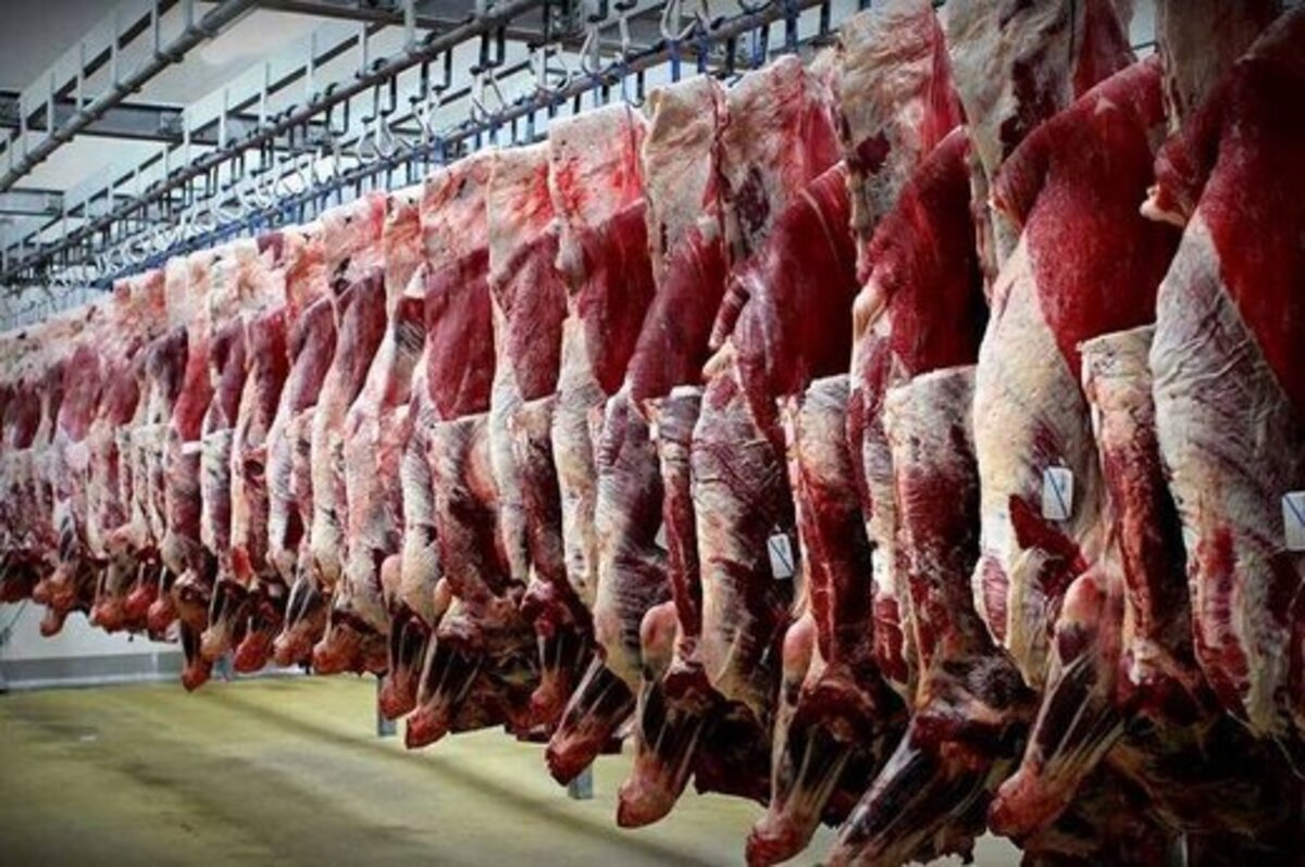 جدیدترین نرخ قیمت گوشت قرمز در خرده فروشی‌ها/ شقه گوسفندی ۱۵۰ هزار تومان + جدول قیمت