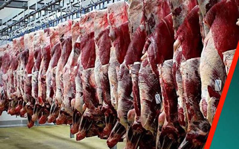 افزایش عجیب قاچاق گوسفند به کشور‌های شیخ نشین خلیج فارس