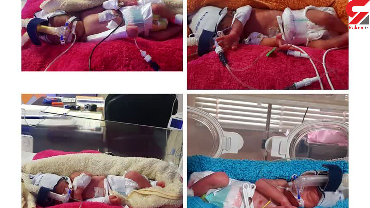 4 قلوهای مادر یزدی همه را غافلگیر کردند / چی فکر می کردند چی شد! + عکس 4 قلوهای مادر یزدی همه را غافلگیر کردند / چی فکر می کردند چی شد! + عکس