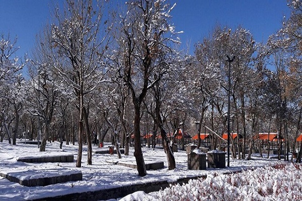 برف مدارس ۷ شهر استان تهران را تعطیل کرد