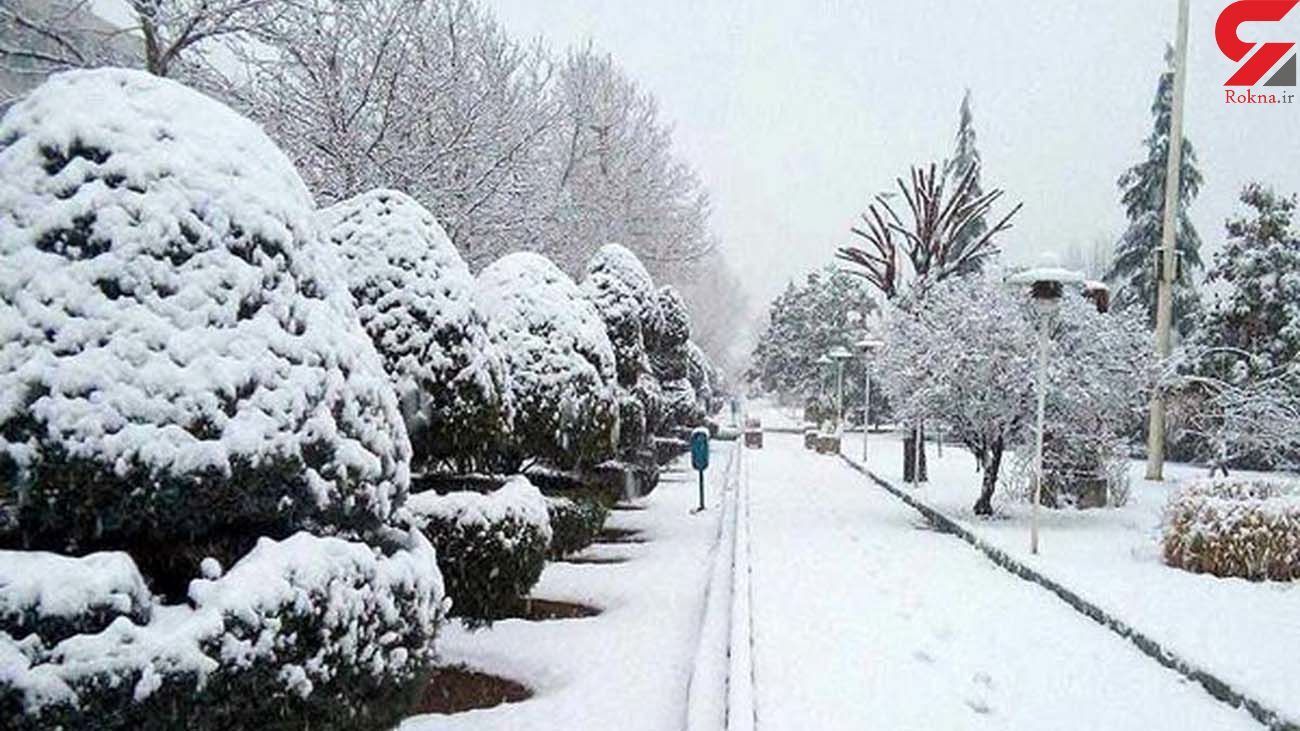 سرما دشمن بیماران قلبی