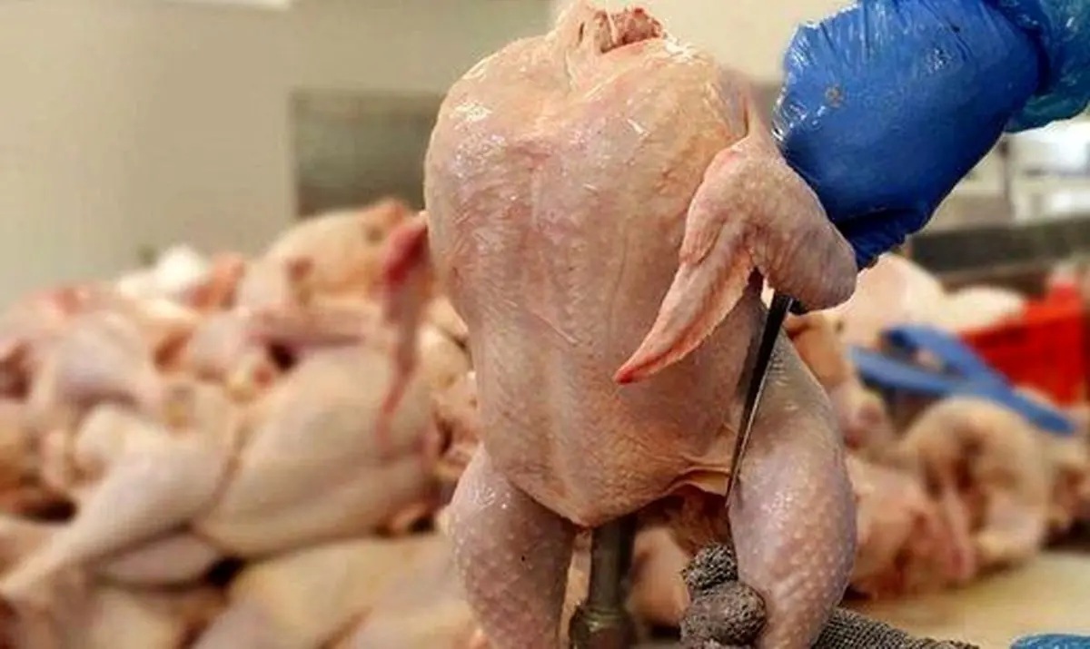 تفاوت عجیب قیمت مرغ بین ۲ استان؛ رانت چند میلیاردی در بازار